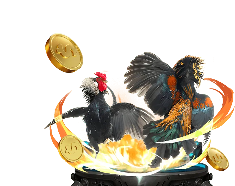 Minh họa các loại kèo cược đá gà phổ biến tại Hello88